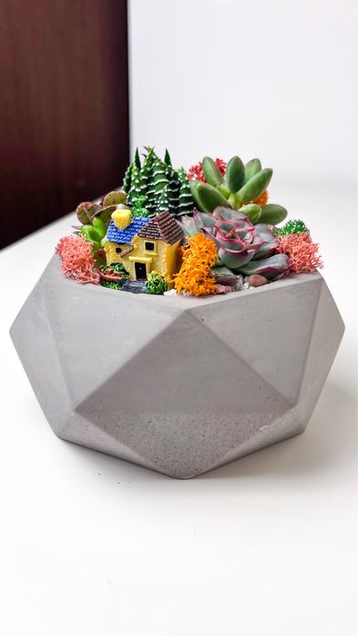 Aranjament floral Suculente