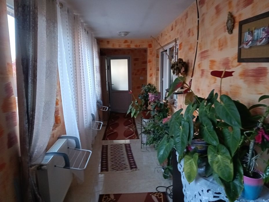 Casa de vânzare și gradina