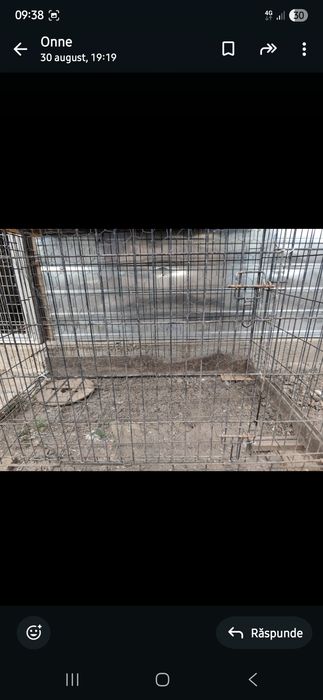 Cusca animale pasari