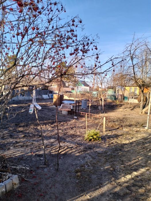 Дача в дачном обществе Сансевьера