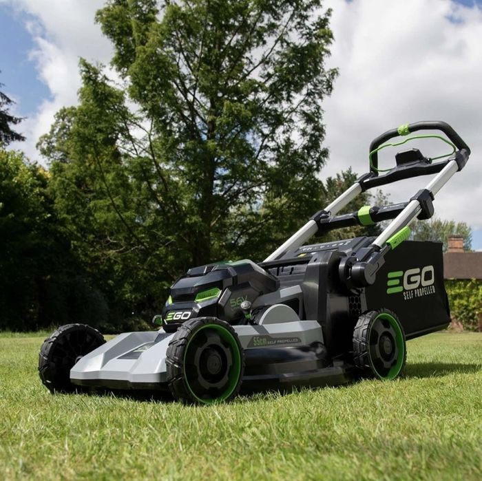 Servicii întreținere gazon/gospodărie