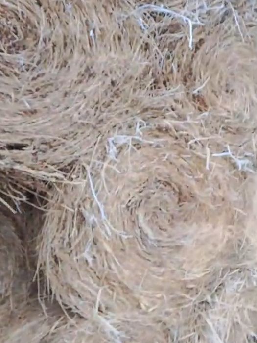 Жоңышқа Шөп сено люцерно