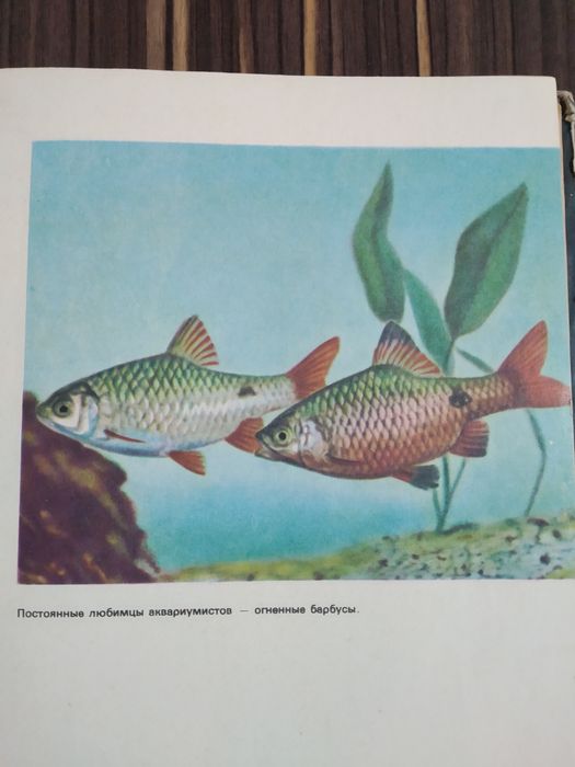 Книга "Увлекательный аквариум"