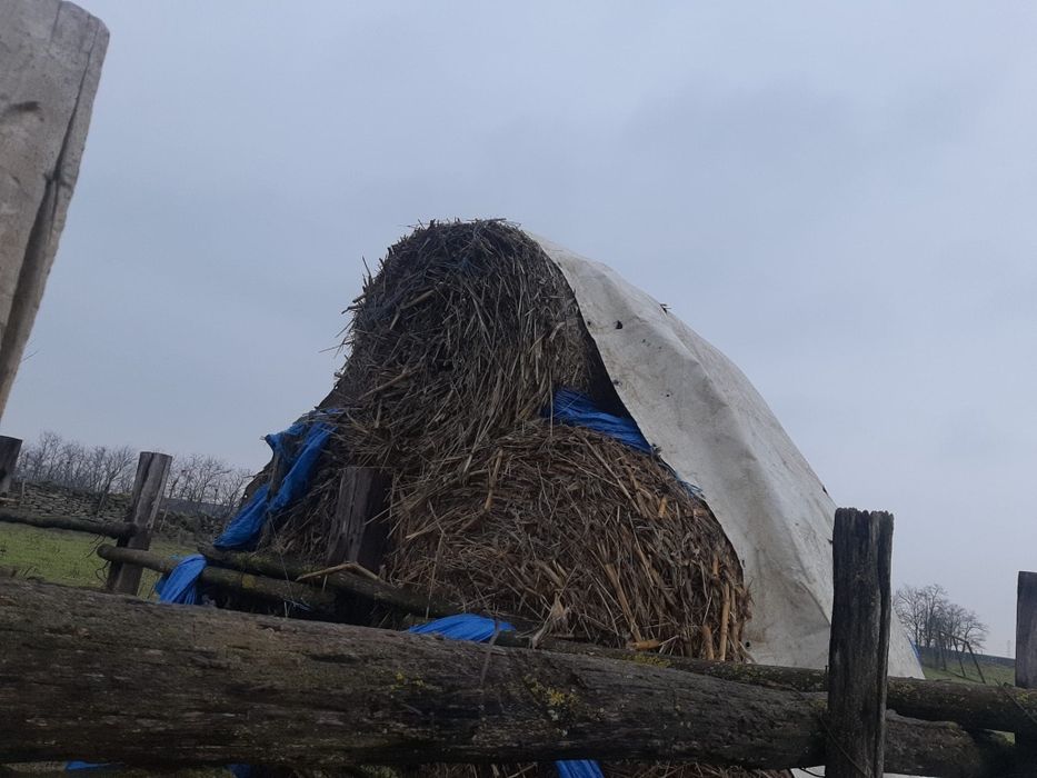 Baloti rotunzi nutreț animale