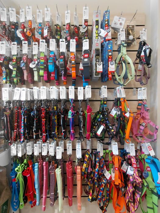 Ошейники, поводки, шлейки