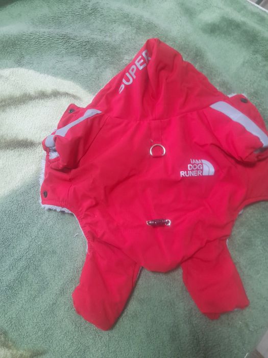 Одежда для собак