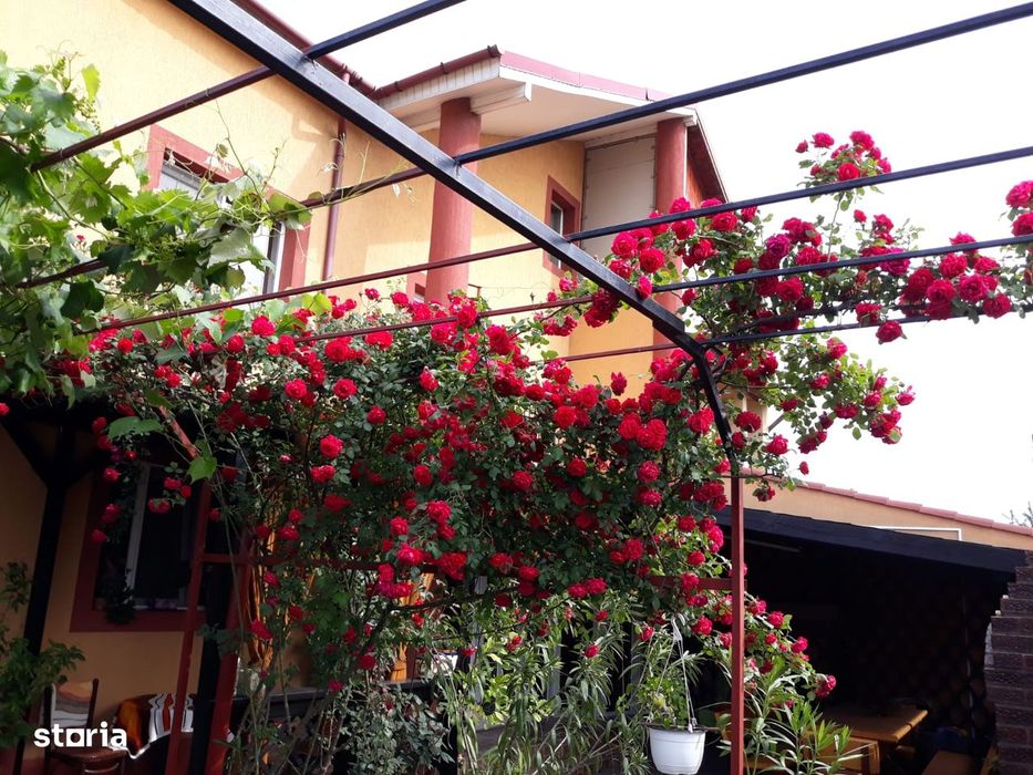 Casa Bariera Valcii, zona buna