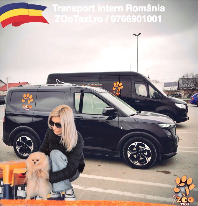 Transport caini si pisici