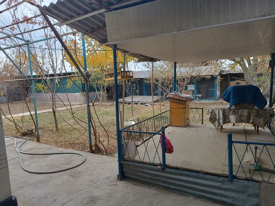 Дача 7 сотих хамма шароти бор