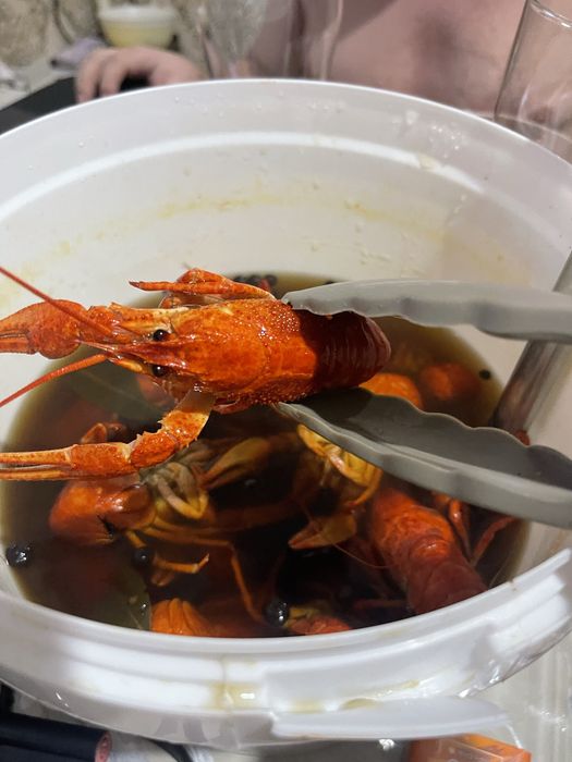 Раки живые 20/30