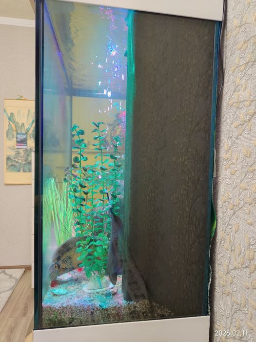 Аквариум Cleair aquatics