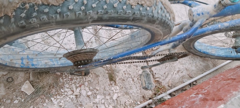 Велик сатам бағасы 75000мың