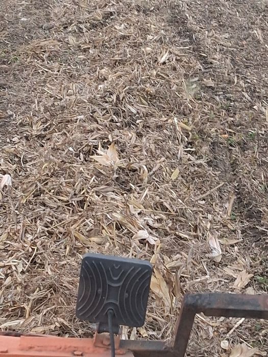 Vnd lucerna fin panusi paie