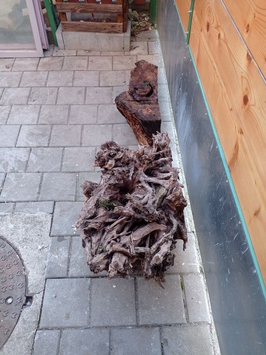 Driftwood, piese mari stejar. Decor acvariu bec acvariu t5juwe400 litr