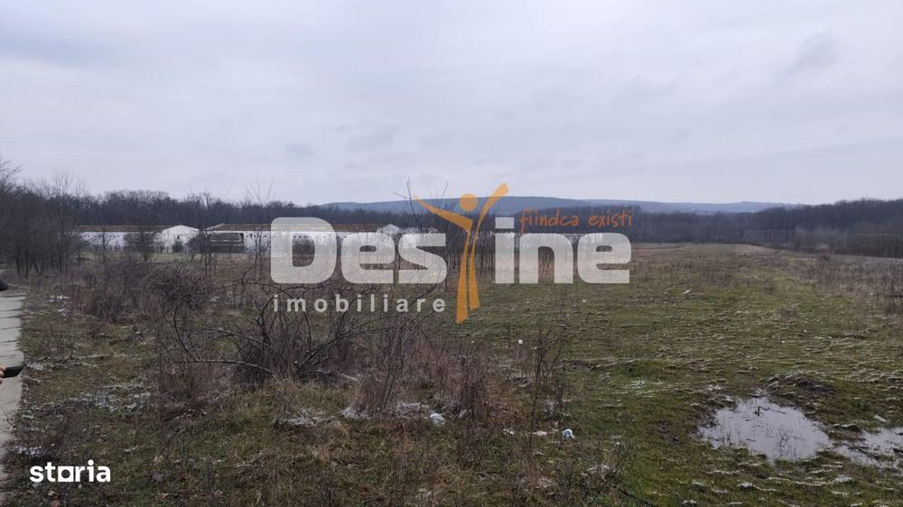 Teren intravilan 7500 mp