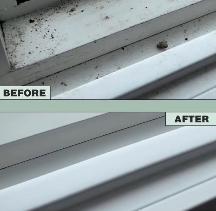 Deep cleaning services - PESTE TOT IN BUCUREȘTI