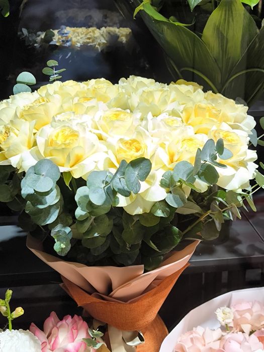 Гуллар, ЦВЕТИ, flowers