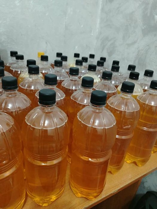 Продам мёд катонский