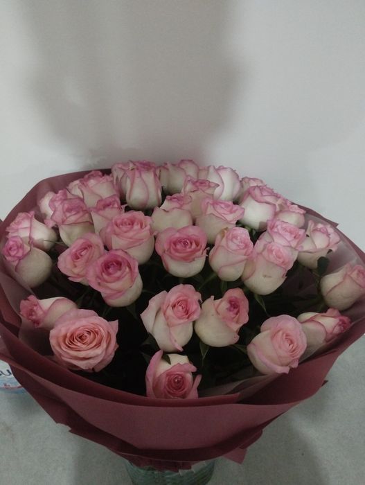 Цветы Розы пышные