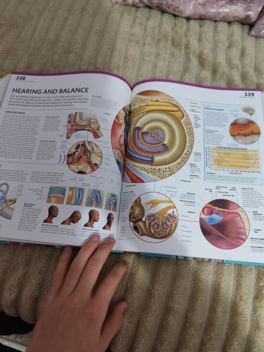 Atlasuri de anatomie
