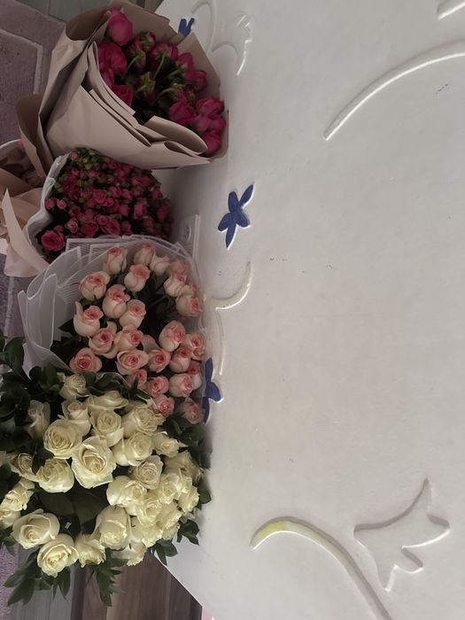 Цветы новые срочно продам
