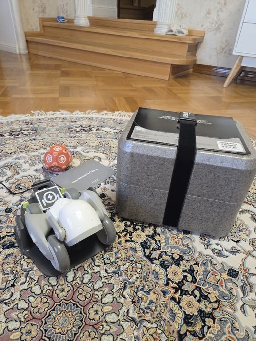 Продам Loona Robot