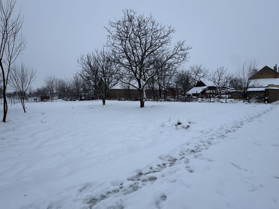 Teren de vanzare carpinis timis