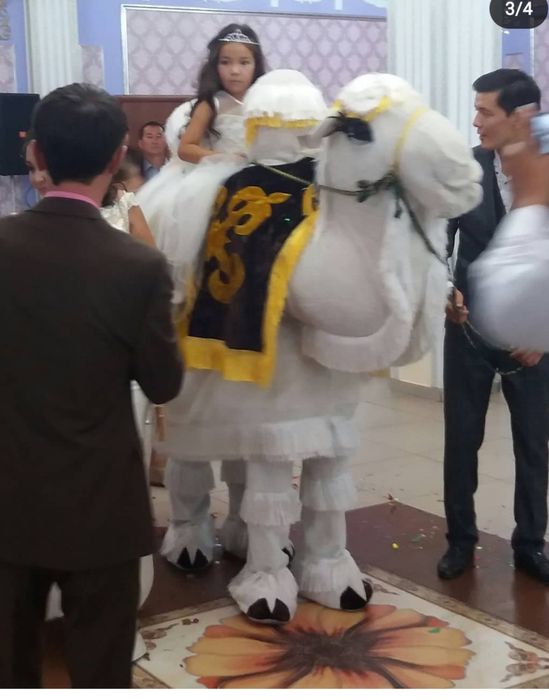 Туйе Акку выход тойбастар