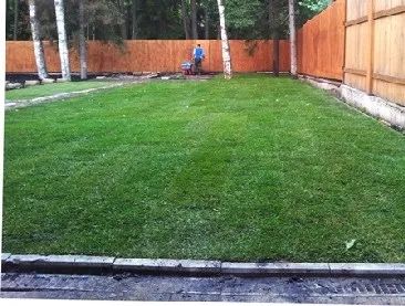 Рулон газон высшего качества