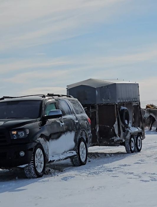 Коневозка  в г Степногорск