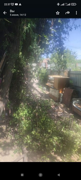 Спил деревьев.санитарная чистка