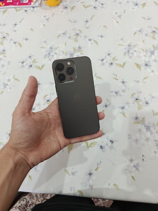 iPhone 13 pro ideal tnnu