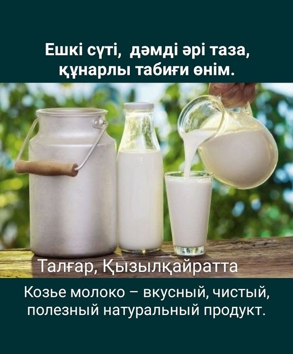 Козье молоко Ешкі сүті