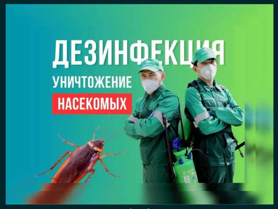 Дезинфекция Клопов / Дезинфекция Таракан / Дезинсекция