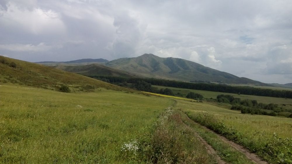 Дом - пасека в селе Михайловка