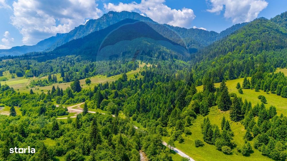Natură— 18.900 mp în Săcele, cu râu și priveliște montană