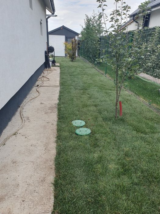 Gazon rulou sport calitate