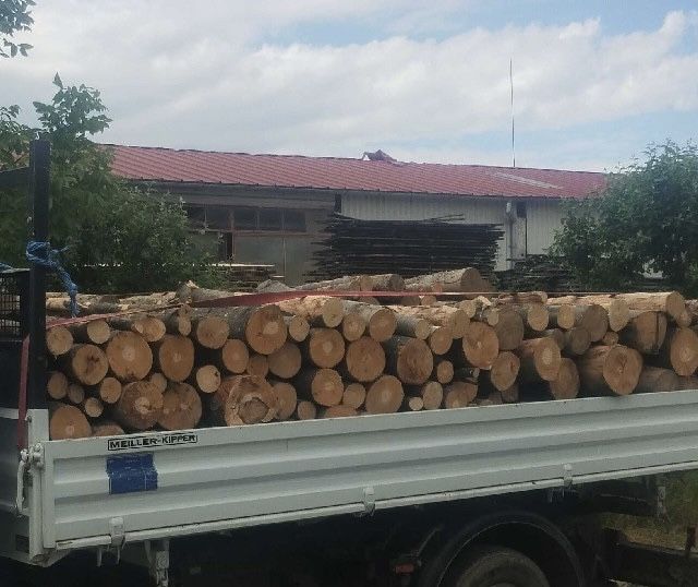 De vanzare lemn foc fag