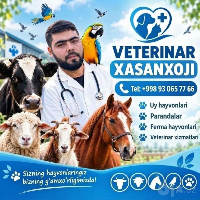 Ветеринар круглосуточно 24/7