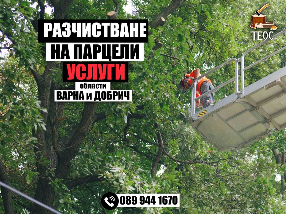 Дробене на клони след кастрене и рязане на дървета – Варна