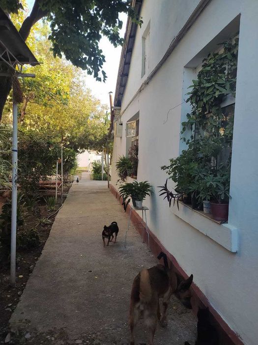 Жиззах Шахар Центр  7 сотка 3 хона.