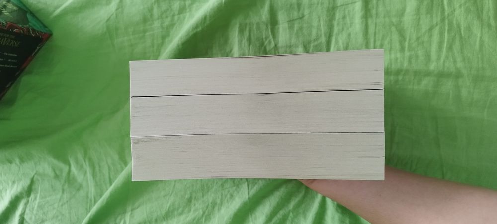 A Curse so dark and lonely by Brigid Kemmerer