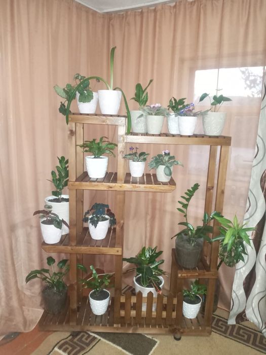 Полки для цветов