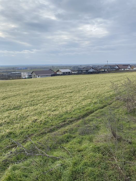 Teren INTRAVILAN Branistea GALATI 5000 m2