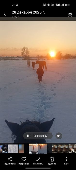 Лошадей 4 голов.