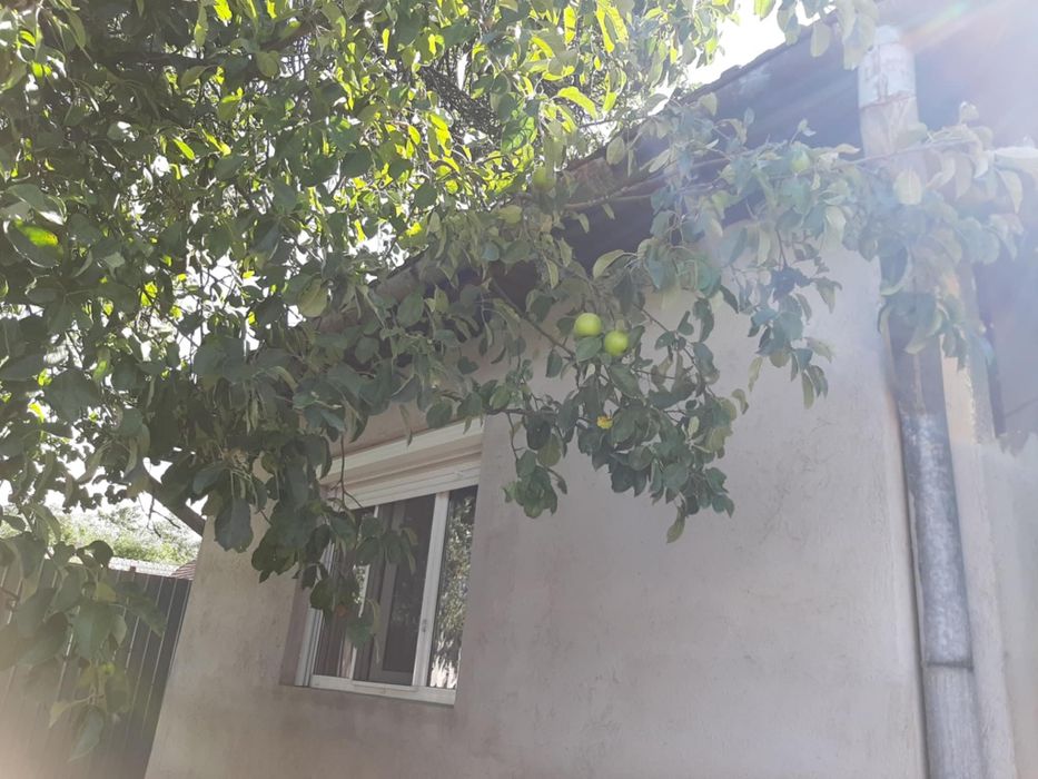 De vanzare casa in sat Olosig