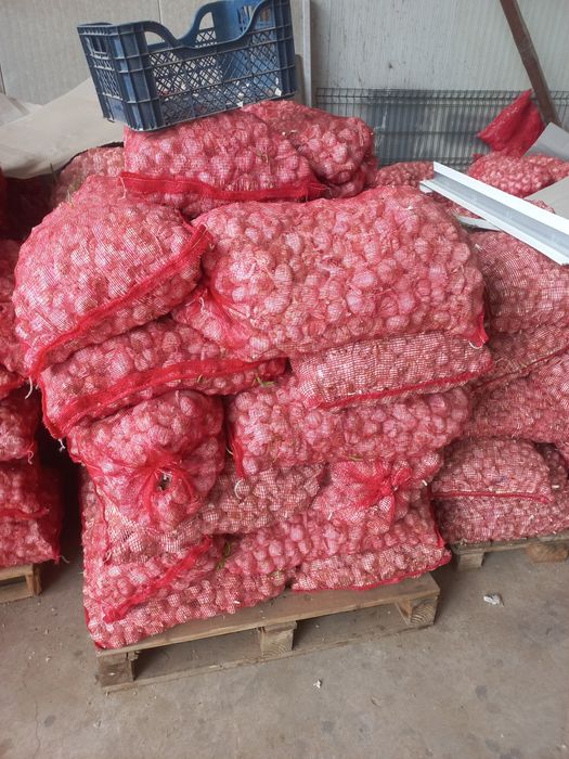 Vand ust de pus în pământ 4 lei!!