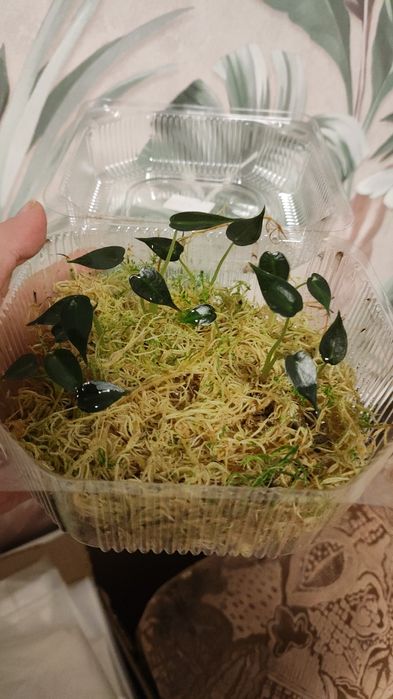 Приглашаю в группу