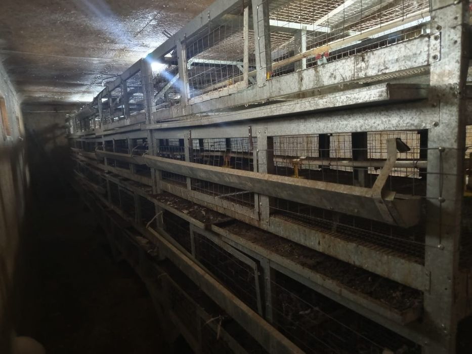 Клетки для содержания