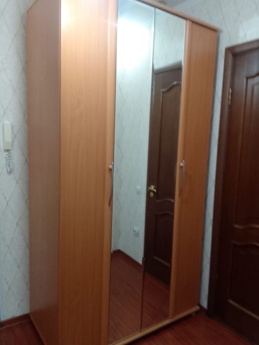 Шкаф для одежды и обуви